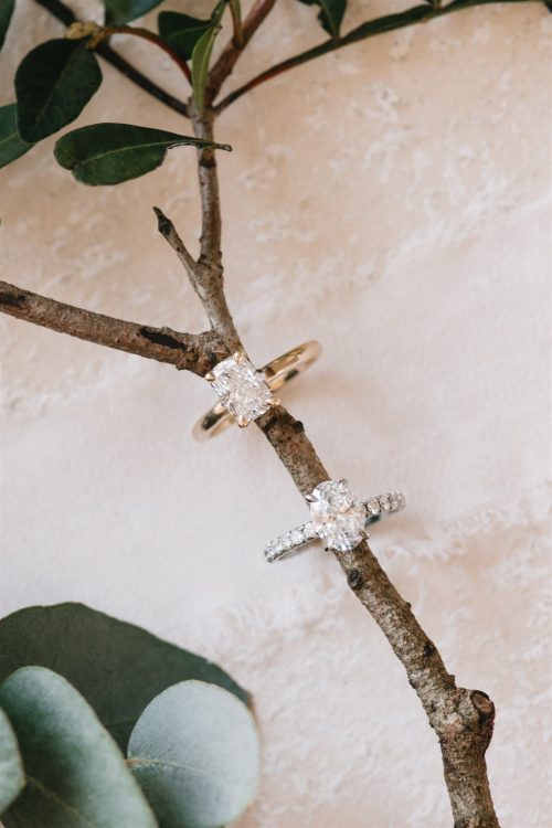 Flora and Florence engagement rings displayed on a natural tree branch—Flora with a clean solitaire setting in yellow gold and Florence with a diamond-accented band in white gold, blending elegance with organic beauty.